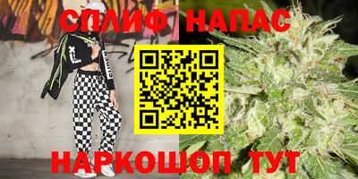 кокс Нальчик