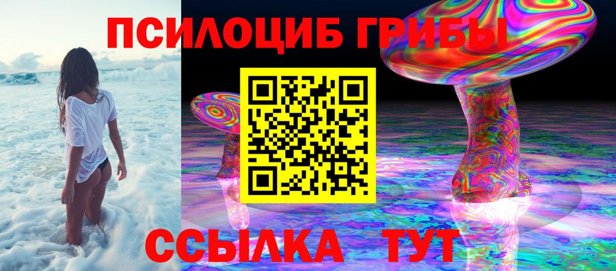 Чехов  Псилоцибиновые грибы MAGIC MUSHROOMS  Вход с VPN  Псилоцибиновые грибы мицелий 